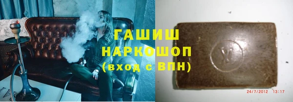 хмурый Алексин