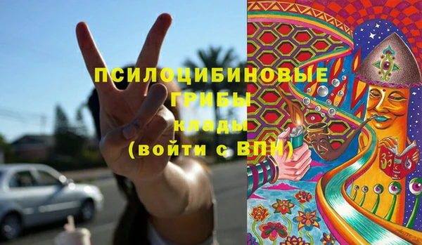 хмурый Алексин