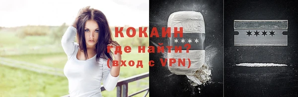 хмурый Алексин