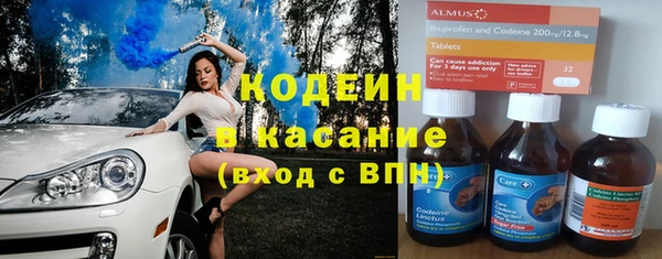 хмурый Алексин