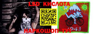 дживик Кандалакша