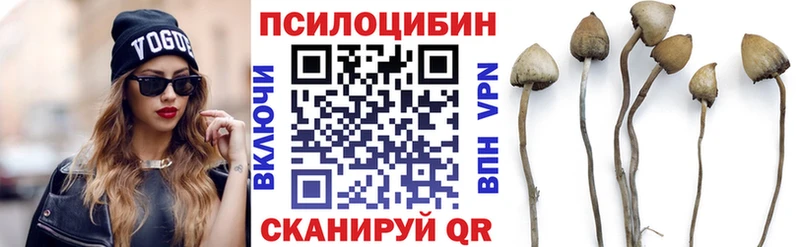 мега как войти  Кызыл  Галлюциногенные грибы ЛСД 