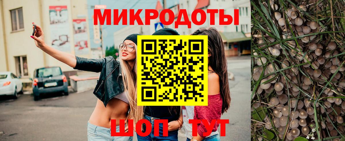 Псилоцибиновые грибы Psilocybe  Галлюциногенные грибы GOLDEN TEACHER  Кызыл  Вход с VPN 